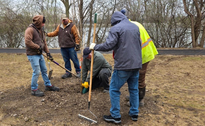Arbor Day in Menasha serves as a pushback to endangered trees post image