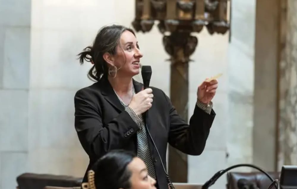 Legislators discuss big topics in League of Women Voters forum post image