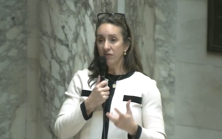 After years of delay, Assembly passes Gail's Law and postpartum Medicaid expansion post image